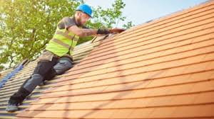 Best Solar Panel Roofing Installation  in Long Valley, NJ
